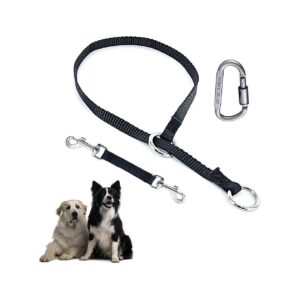 Nylon Slip Collar with Double Ended Clip and Carabiner for Prong Collar Safety Walking