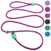 Nylon Slip Lead Dog Leash for Small Medium Male and Female Dogs 6 FT Long Six Colors