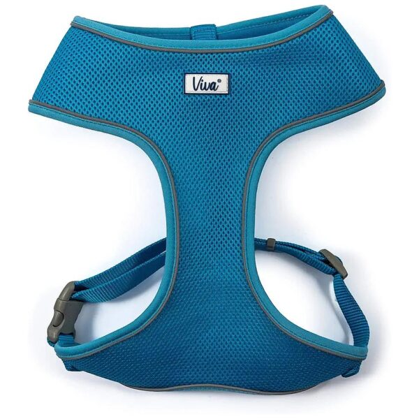 Nylon Small Blue Dog Harness with Breathable Mesh and Adjustable Design