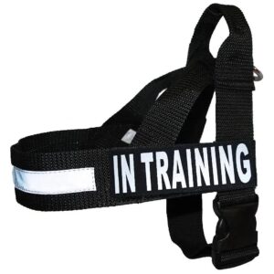 Nylon Training Harness with Reflective Straps and Control Handle for Large Dogs 26-33