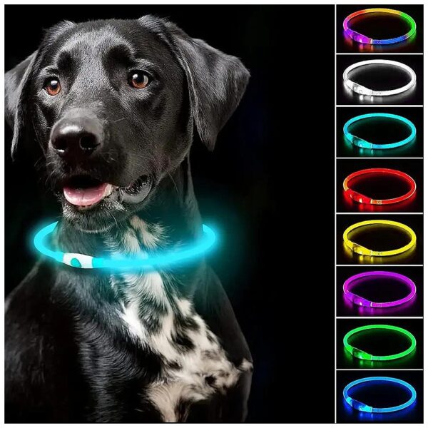 ONE LED Collar Fits All Dog Sizes with 7 Solid and Multicolor Options