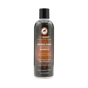 Oatmeal and Honey Dog Shampoo for Relaxing and Soothing Skin