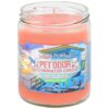 Odor Free Air Pet Odor Eliminator Miami Sunrise Scented Candle 13 oz