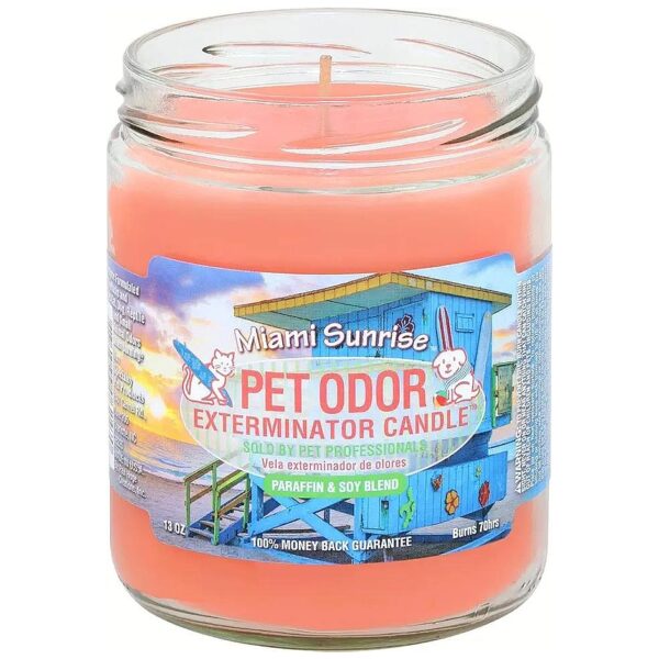 Odor Free Air Pet Odor Eliminator Miami Sunrise Scented Candle 13 oz