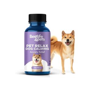 Odorless and Tasteless Dog Calming Pills for Stress-Free Travel