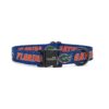 Official Florida Gators Pet Collars and Leashes for Dogs