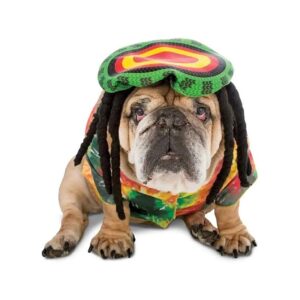 Official Zelda Wisdom Dog Costume with Rat IPA with Hat for Large Dogs