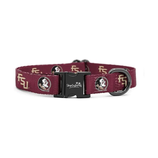 Officially Licensed Florida State University Dog Leash and Collar for Pet Lovers