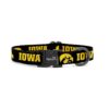 Officially Licensed Iowa Pet Collars with Sturdy Buckles for Small to Medium Dogs