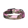 Officially Licensed Realtree Camouflage Nylon Dog Collar, Pink, 21 Inch