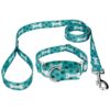 Oh My Dog Martingale Dog Collar and Leash with 5 Playful Designs for Small Dogs