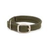 Olive Green Adjustable Double Braided Collar with Satin Nickel Hardware for Dogs