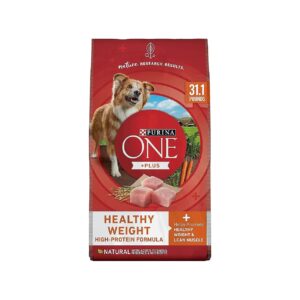 Omega-6 Fatty Acid Rich Dog Food for Shiny Skin and Healthy Coat