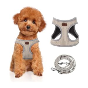 On Design for Increased Visibility, Perfect for Small to Medium-Sized Dogs