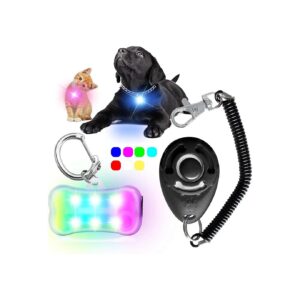 On Dog Light with 7 Color Options for Nighttime Fun