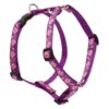 On/off Design Dog Harness with 3/4 Inch Wide Nylon Strap