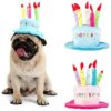 One Size Fits Most Cute Dog Cat Birthday Cake Hat with 5 Color Candles Custom Accessory