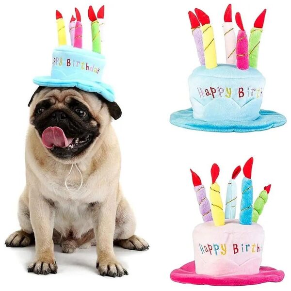 One Size Fits Most Cute Dog Cat Birthday Cake Hat with 5 Color Candles Custom Accessory