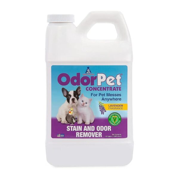 Orange-Clean Alternative Pet Stain and Odor Remover for Carpets and Fabric