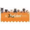 Orange Dog Brush for Dogs, Cats, and Small Pets