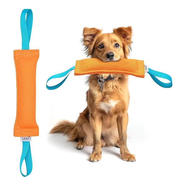 Orange Dog Toy with Soft Handles and Durable Nylon Pillow for Small to Medium Breed Dogs