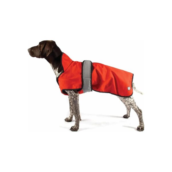 Orange Dot 2 in 1 Dog Coat with Adjustable Neck Size and Chest Protection for Training