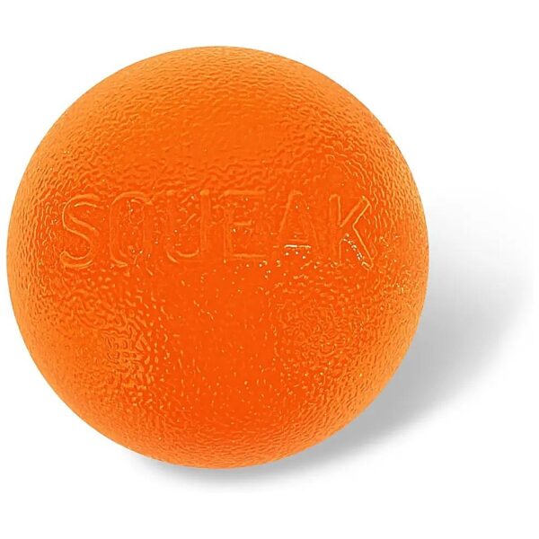 Orange Durable Squeaky Dog Ball for Fetch and Interactive Play