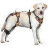 Orange Extra Large Dog Lift Harness with 360o Support for Daily Activity Assistance