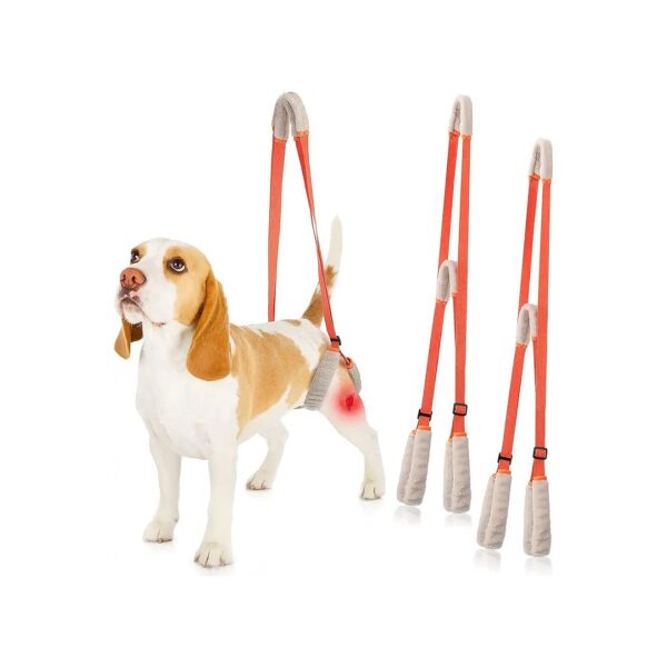 Orange Hind Leg Support for Dogs Back Legs with Handle Shoulder Strap Lifting Sling Aid