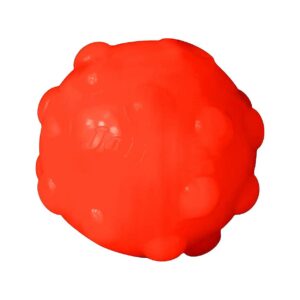 Orange Jumbo Dog Toy for Teething and Dental Health Awareness