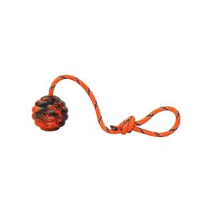 Orange K9 Training Ball with Rope for Small to Large Breed Dogs