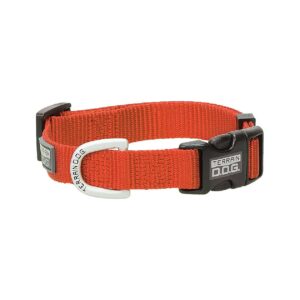 Orange Nylon Adjustable Dog Collar for Large Dogs