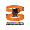 Orange Nylon Reflective Dog Collar with Adjustable Size and Quick Release Buckle