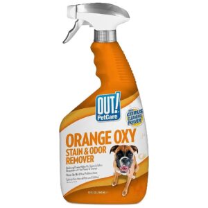 Orange Oxy Stain and Odor Remover for Pet Care Pros