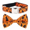 Orange Polyester Dog Collar with Metal Buckle and Leash Attachment for Halloween Party