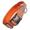 Orange Tactical Dog Collar with Handle for Active and Strong Dog Breeds