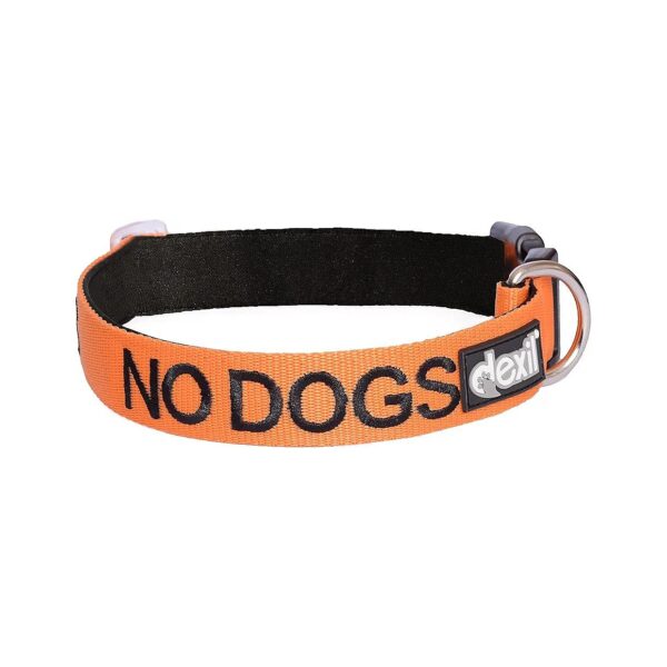 Orange Warning Dog Collar for Dogs that are Not Good with Other Dogs