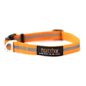 Orange Waterproof Dog Collar with Reflective Strip for All Dog Breeds and Life Styles