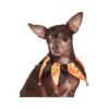 Orange and Black Jester Dog Collar with Bell Accents for Large to Medium Dogs