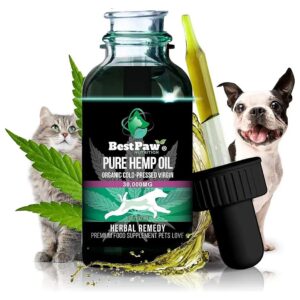 Organic Hemp Oil for Dogs and Cats - Holistic Pet Care for Pain Relief