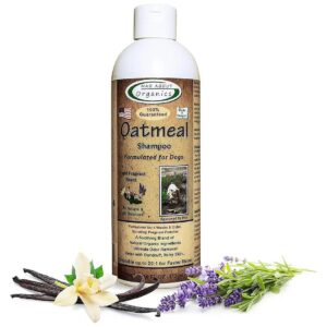 Organic Oatmeal Shampoo for Dogs with Itchy Dry Skin 16oz Concentrate