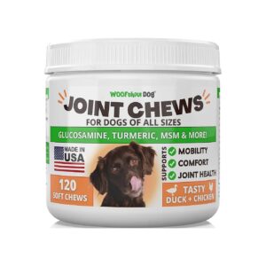 Organic Turmeric Glucosamine Chondroitin Supplement for Dogs with Joint Pain Relief