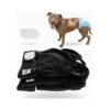 Oriented Female Dog Diapers with Adjustable Velcro Closure and Optional Pad