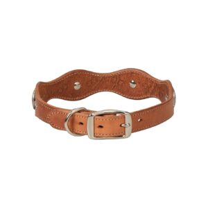 Original Texas Star Embellished Collar in Russet Leather with Nickel Plated Hardware