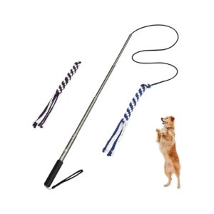 Outdoor Dog Interactive Toy with 2 Replaceable Rope Toys for Training and Exercise