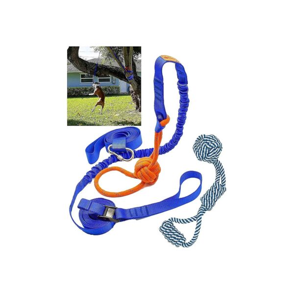 Outdoor Dog Play Toy for Small to Large Dogs with Adjustable Bungee