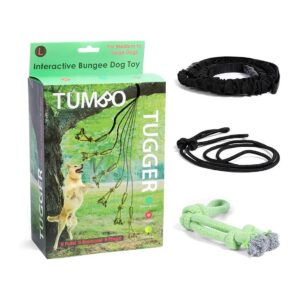 Outdoor Dog Playground Tug Toy for Exercise and Fun