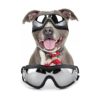 Outdoor Eye Protection Sunglasses for Medium to Large Dogs with Anti-Fog Lenses