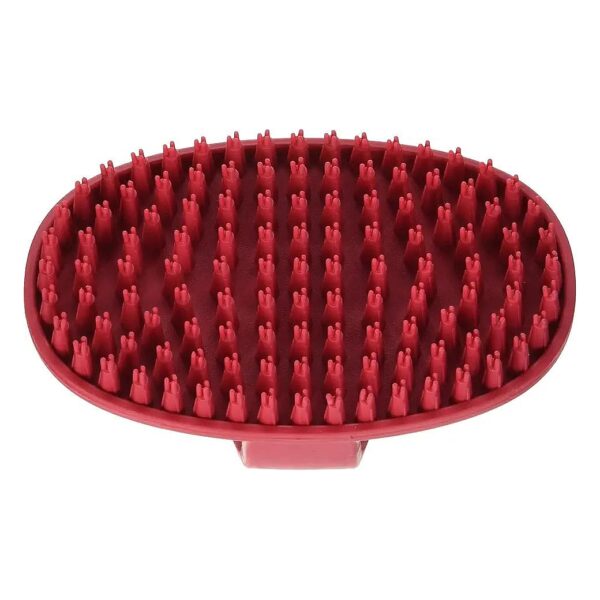 Oval-Shaped Boar Bristle Grooming Brush with Red Rubber Loop Handle and Small Bites