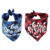 Pack Dog Bandanas with Big Brother and Big Sister Text for Small Medium and Large Dogs